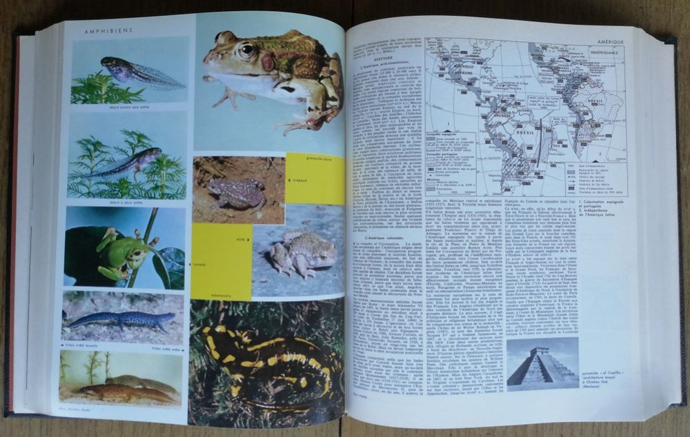 Dictionnaire Encyclop&eacute;dique LAROUSSE 10 volumes Livres et BD