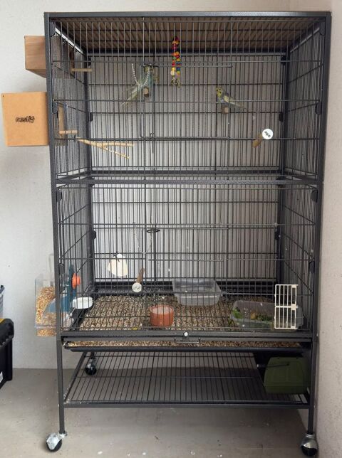 CAGE Oiseaux grande : Noel 80 64310 Saint-p�e-sur-nivelle