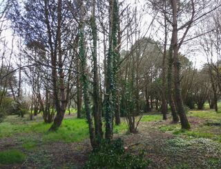  Terrain  vendre 3000 m Meilhan-sur-garonne