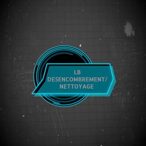 Désencombrement et nettoyage maison ou appartement 0 18100 Vierzon