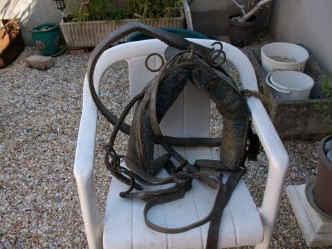 collier de cheval 15 Vézénobres (30)