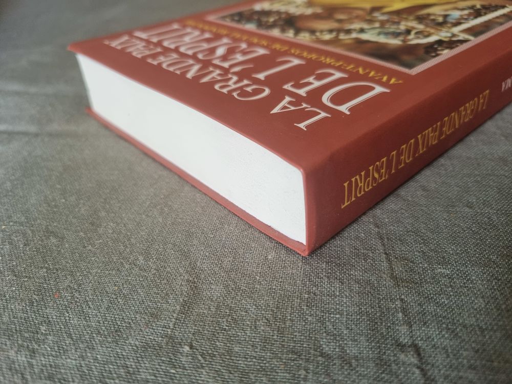 "La grande paix de l'esprit" de sa saintet&eacute; Le Dala&iuml; Lama Livres et BD