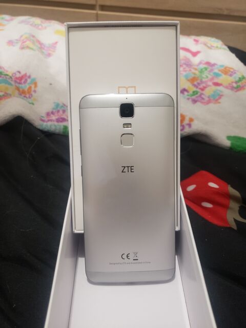 T�l�phone ZTE 100 Donneville (31)