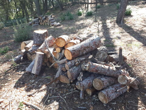 bois de chauffage 45 Aigues-Vives (30)