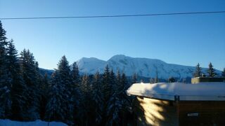 Location  Appartement 