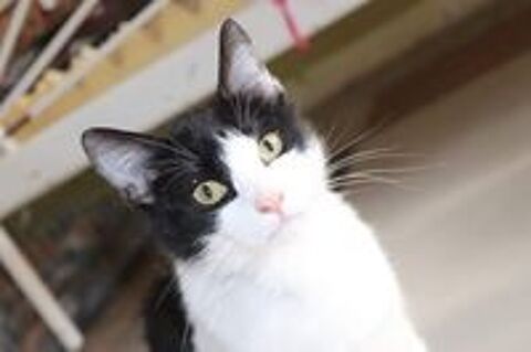   ATHOS  