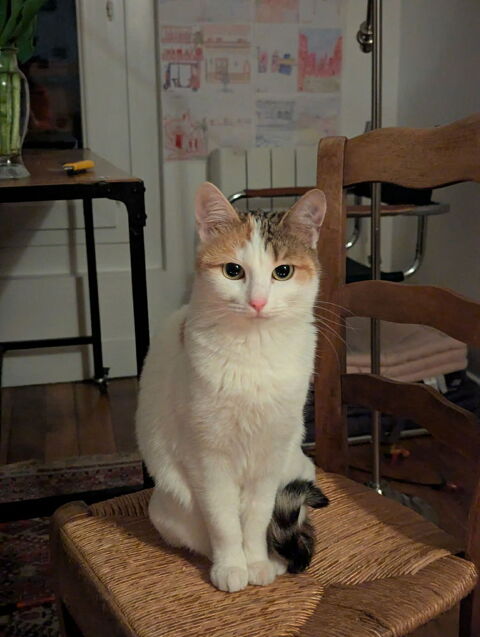 Clarisse : la discr&egrave;te qui fait chavirer les c�urs 180 75010 Paris