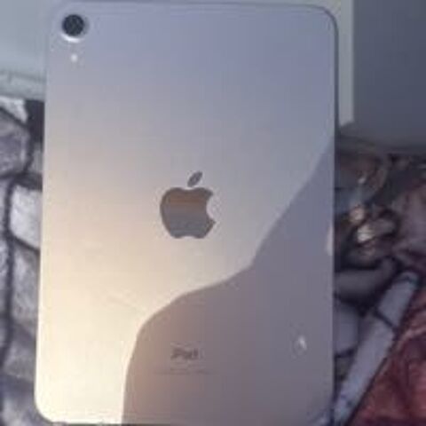 iPad 450 Nice (06)