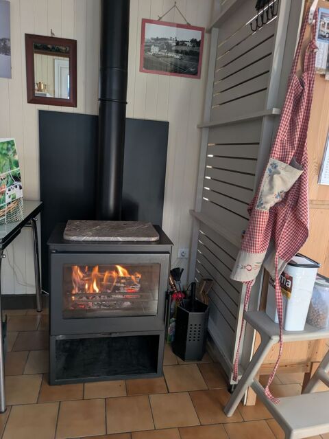 Poele � bois 450 Chamberet (19)