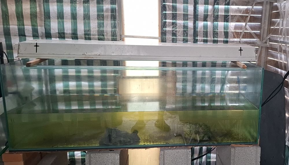  Aquarium 375 litres 