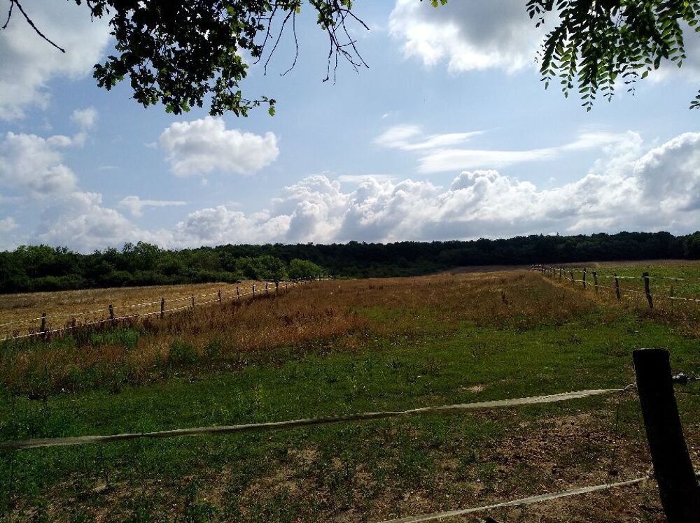 Vente Terrain Terre agricole La guerche-sur-l'aubois