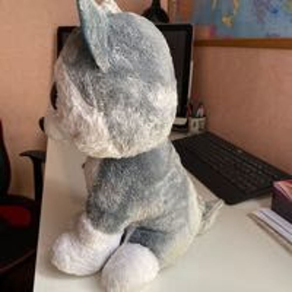 grosse peluche chien 40cm Ty un Jeux / jouets