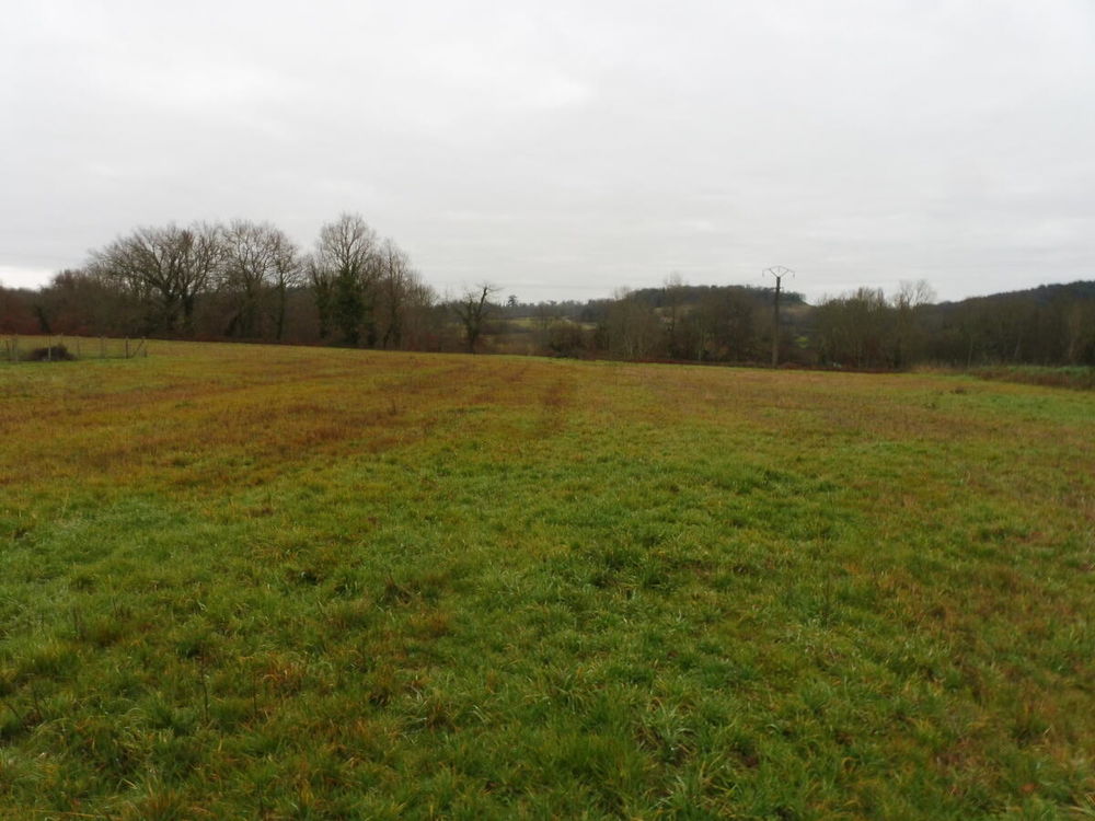 Vente Terrain Terrain Montpeyroux