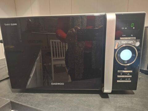 four micro onde 46 Toulouse (31)