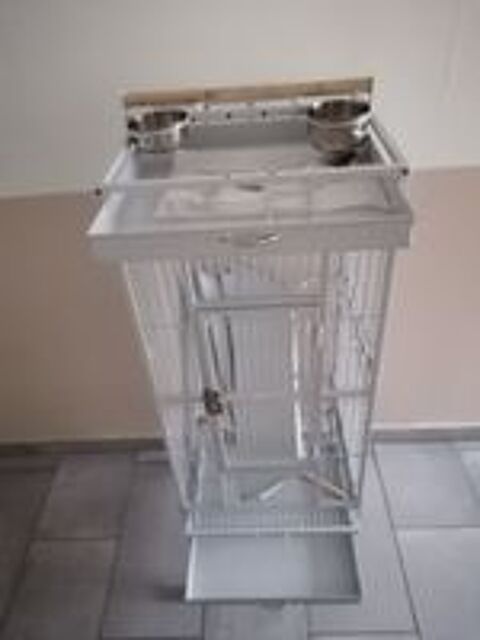   Grande Cage Oiseaux 