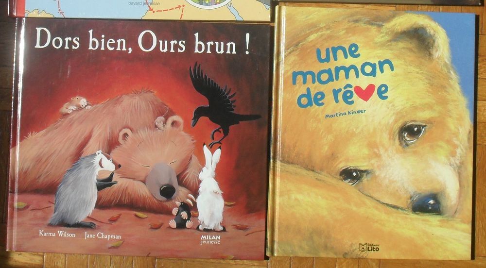 Lot de 4 grands livres pour Enfants NEUFS. Livres et BD