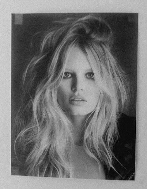 photo sur toile B. Bardot 25 Castres (81)