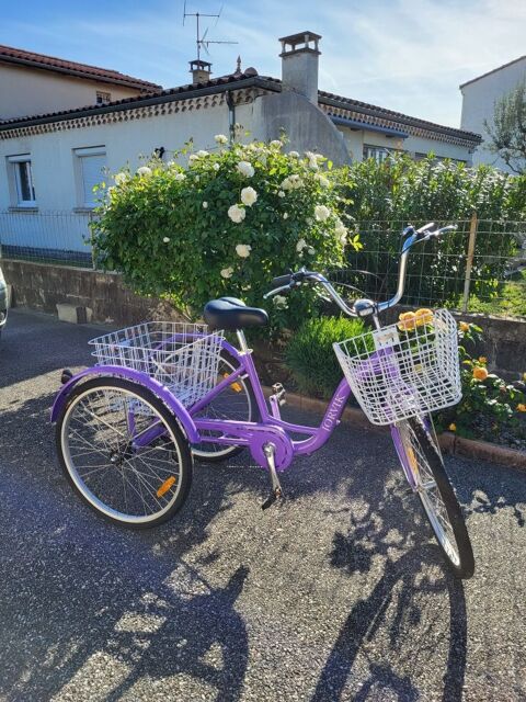 vlos tricycle adultes 500 Livron-sur-Drme (26)