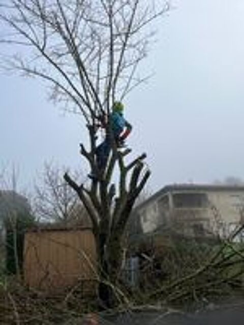   ELAGAGE / PAYSAGISTE / JARDINIER 