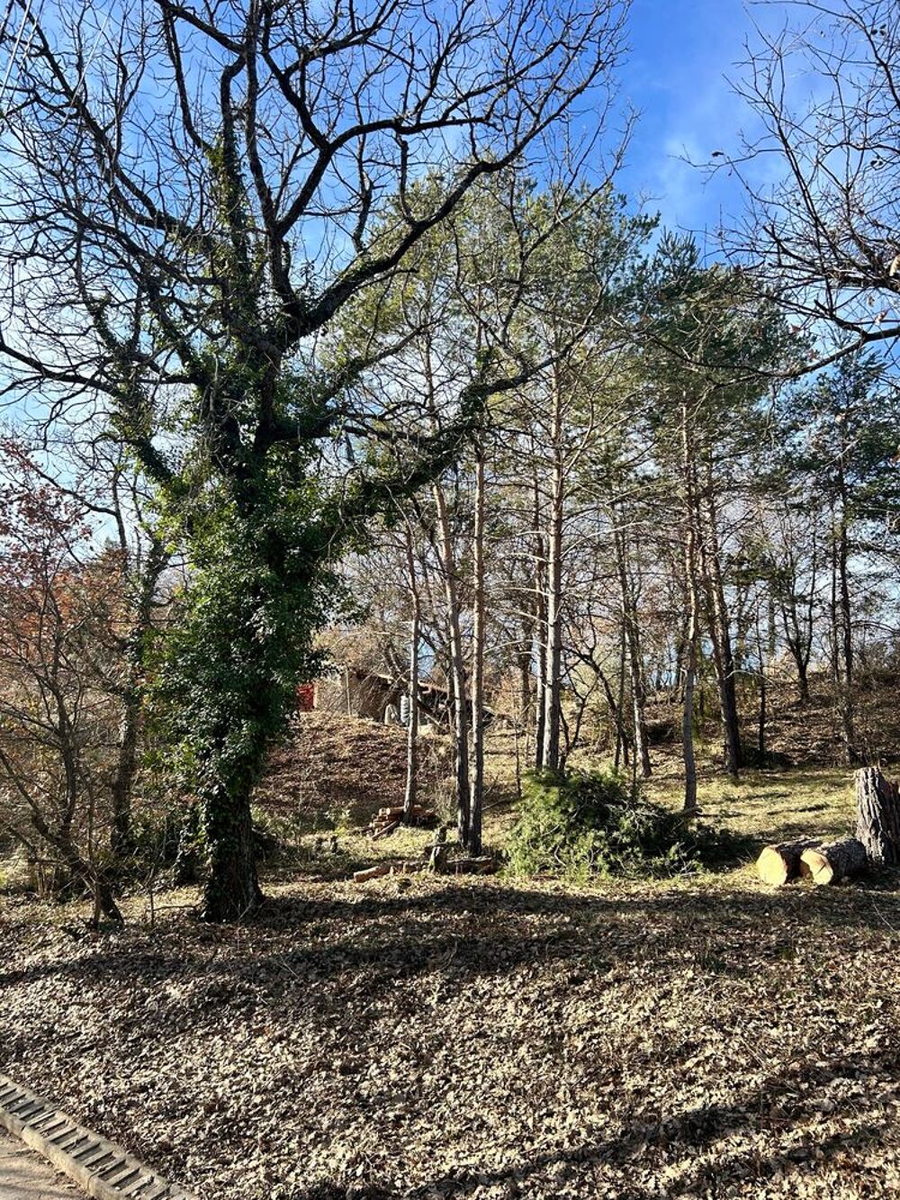 Vente Terrain Part vd terrain constructible1900m2 Alpes de Haute Provence Estoublon