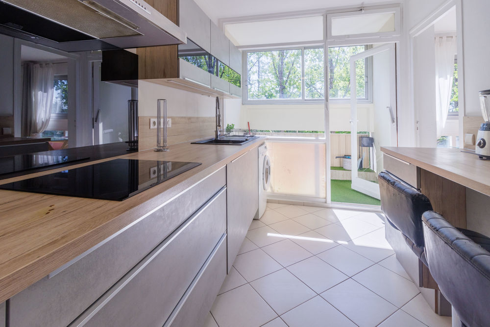Location Appartement Appartement T3/T4 MEUBLE A FERNEY VOLTAIRE Ferney-voltaire