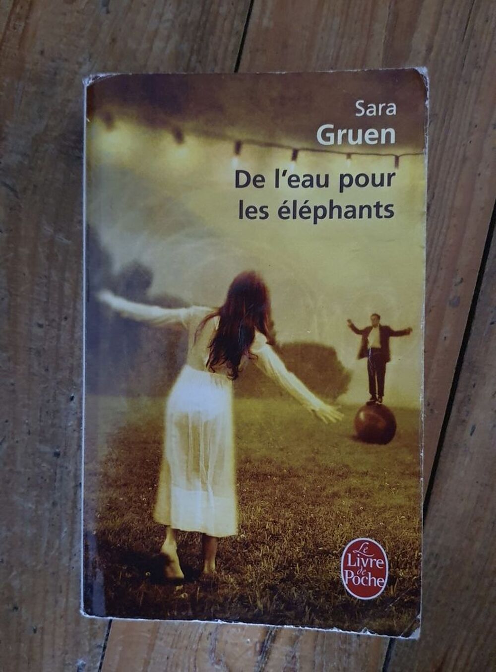De l'eau pour les &eacute;l&eacute;phants Livres et BD