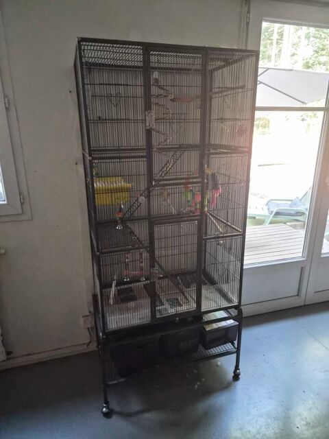 cage pour grande perruche/perroquet 120 Parempuyre (33)