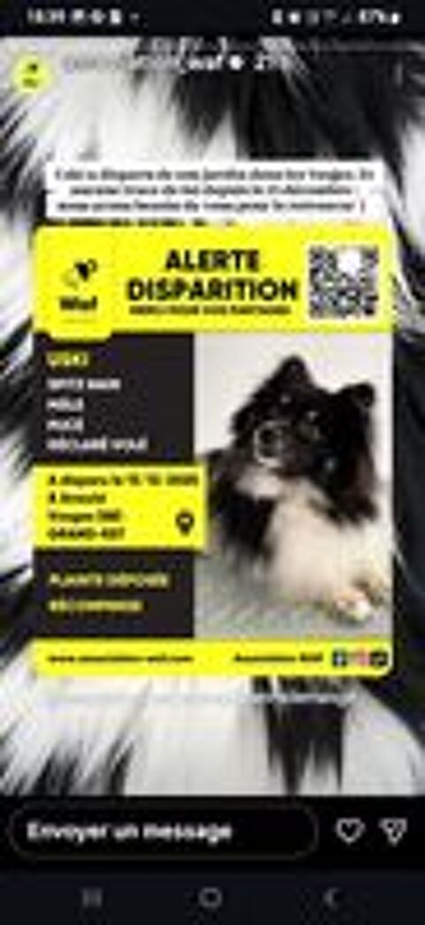   ALERTE DISPARITION A ARNOULD DPT 88 VOSGES SPITZ  