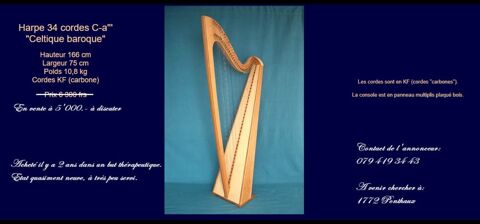 Harpe celtique thérapeutique  0 Suisse