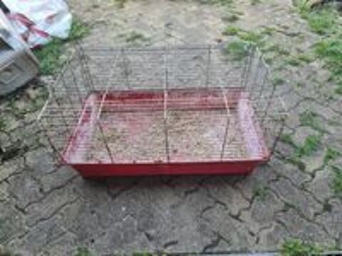   Cages volailles rongeur 