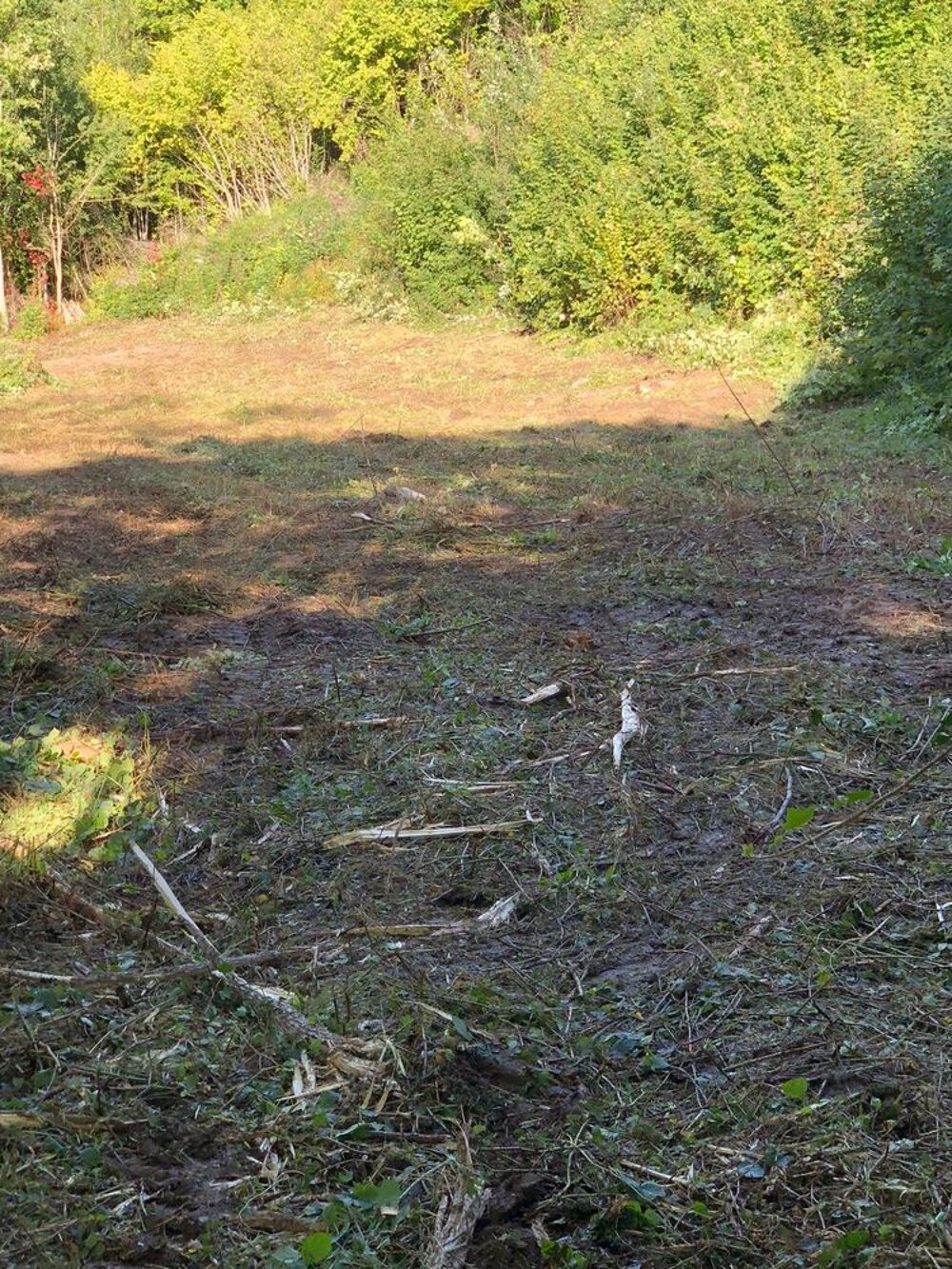   Pour animaux de ferme : PRTE GRATUITEMENT terrain 5000m2  