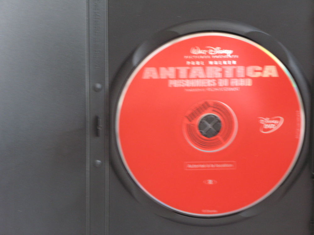 Antartica prisonnier du froid DVD et blu-ray