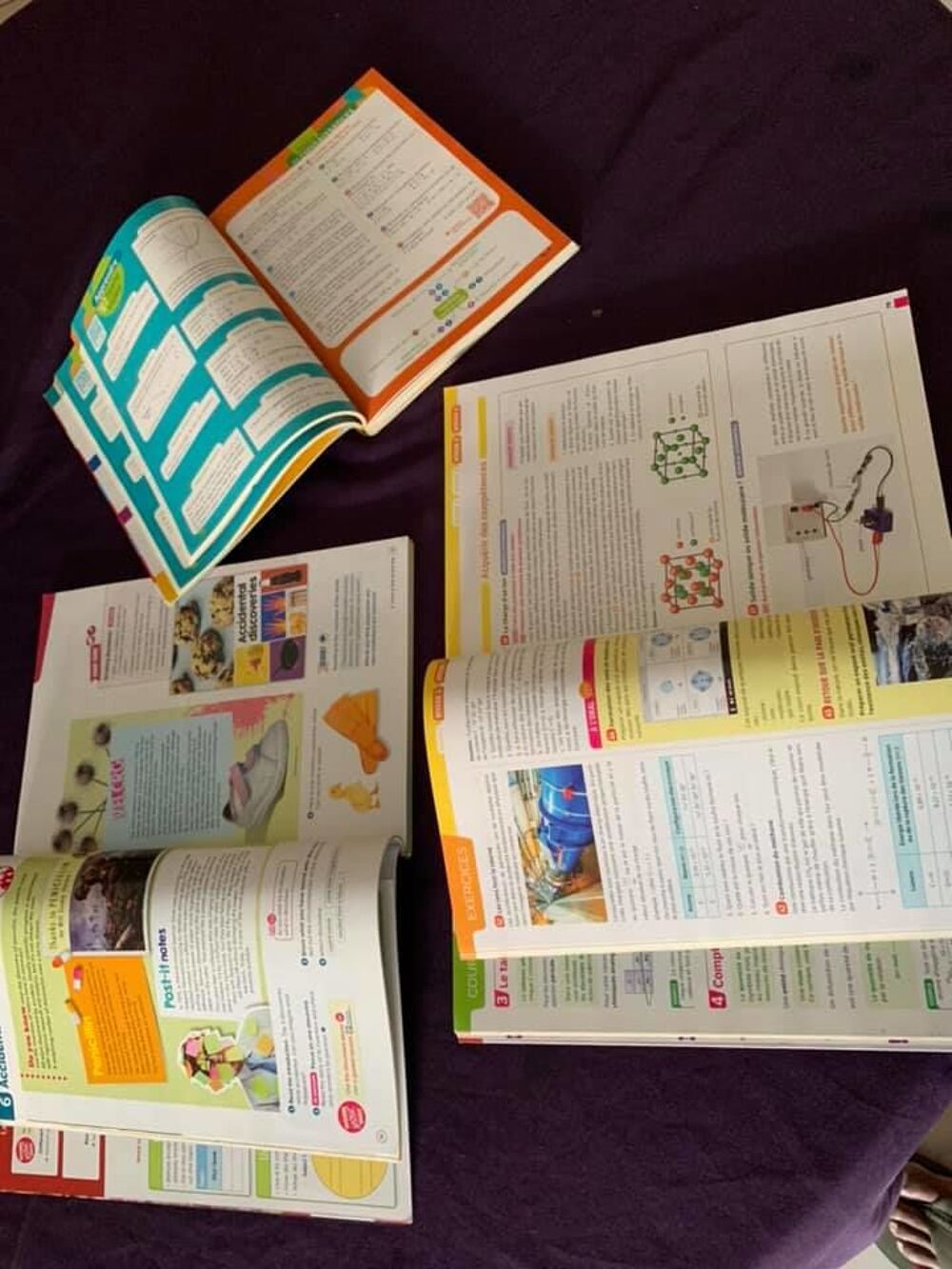 de Livres de Seconde du Lyc&eacute;e de BELLEVUE. Livres et BD