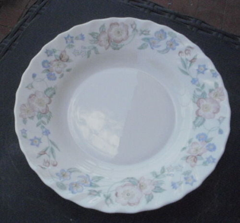 Lot 9 assiettes ARCOPAL Cuisine
