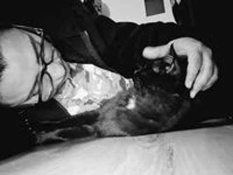   J ai perdu mon chat noir 