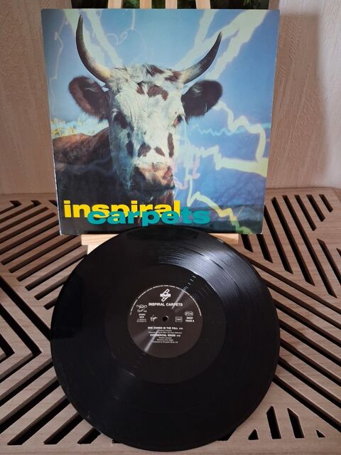 RARE MAXI SINGLE Inspiral Carpets
She Comes In The Fall
15 Blanquefort (33)