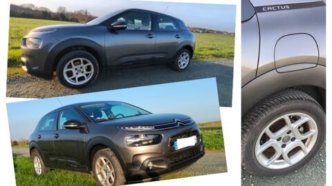 Citroen c4 cactus Citro&euml;n  PureTech 110 S&S EAT6 