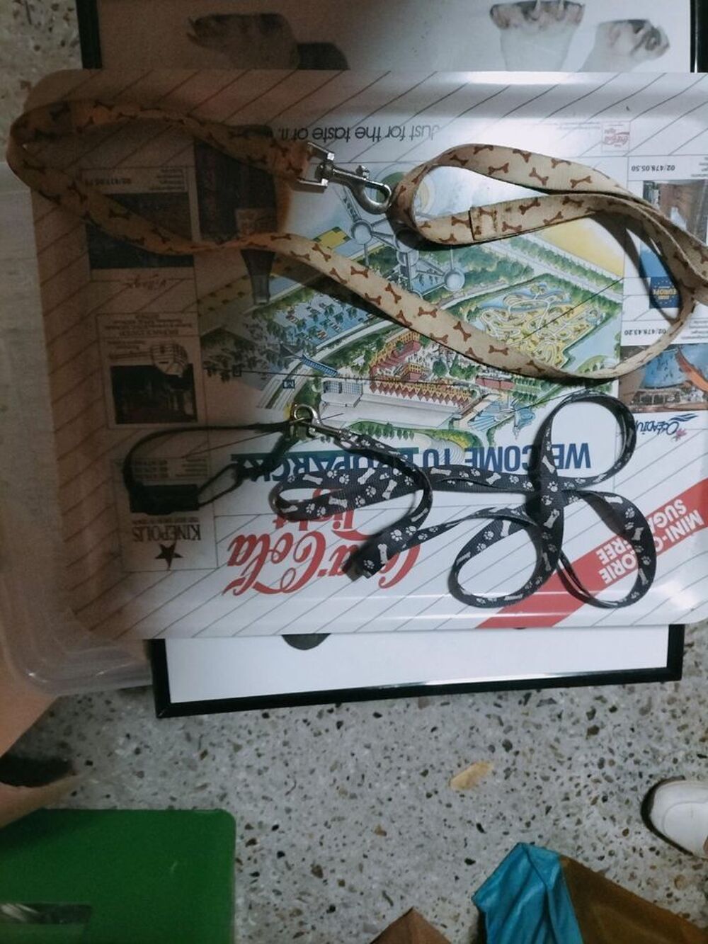 laisse a chien
Bricolage