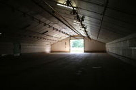   occasion 85410 Thouarsais-Bouildroux