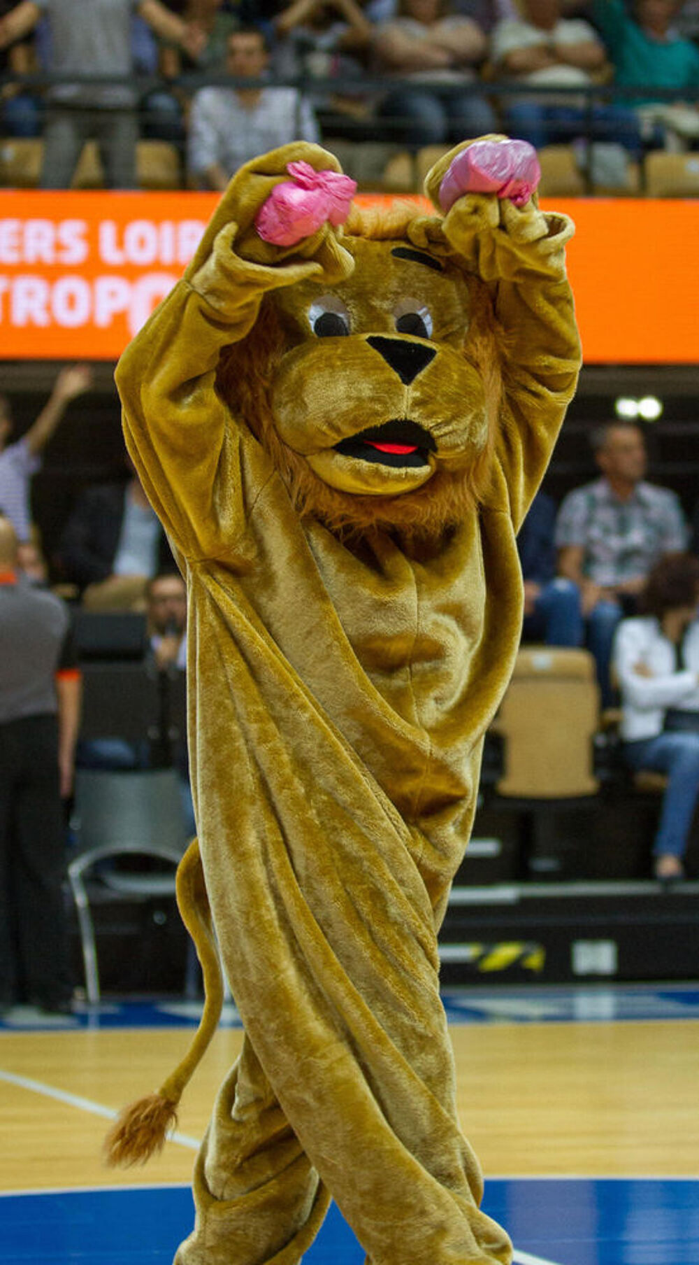 mascotte sportive Vêtements