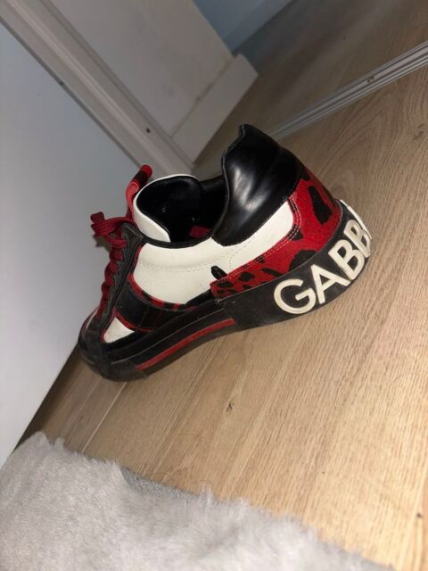 basket  dolce, Gabbana 250 Castres (81)
