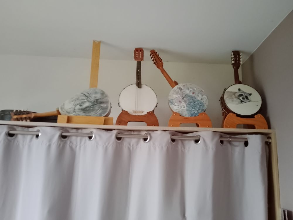 Banjos mandolines avec peintures d'animaux Instruments de musique
