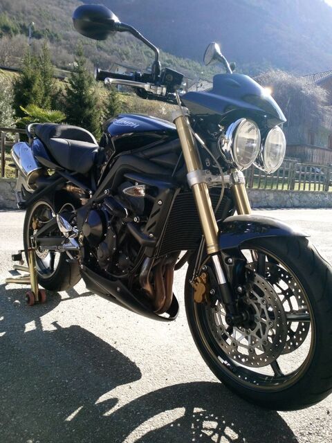 Moto TRIUMPH 2010 occasion Aigueblanche 73260