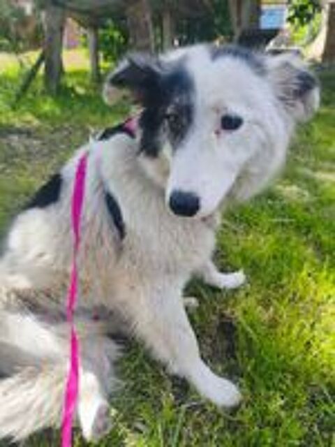   MARY SE TROUVE DANS UN REFUGE EN UKRAINE (RESERVEE) 