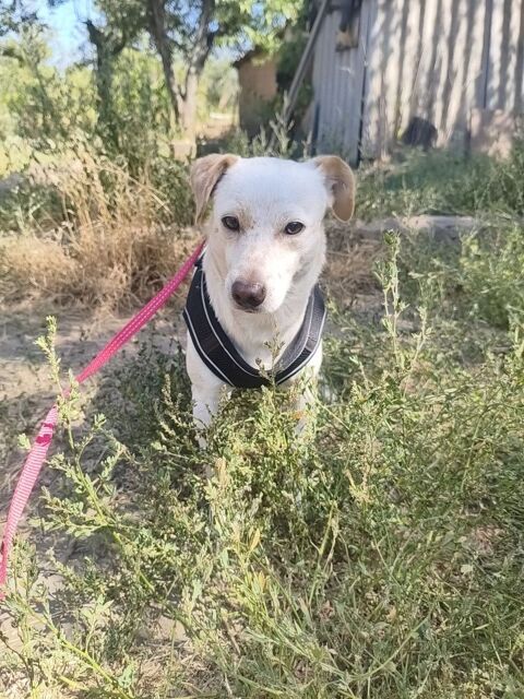A L'ADOPTION HARRY 0 75018 Paris