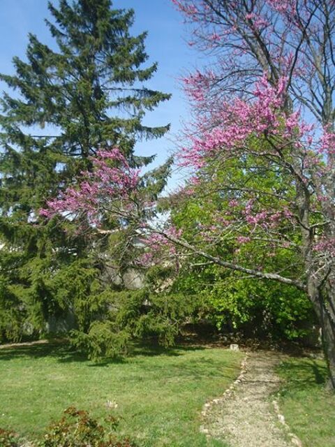 GARDE TOUTOU 0 69390 Millery