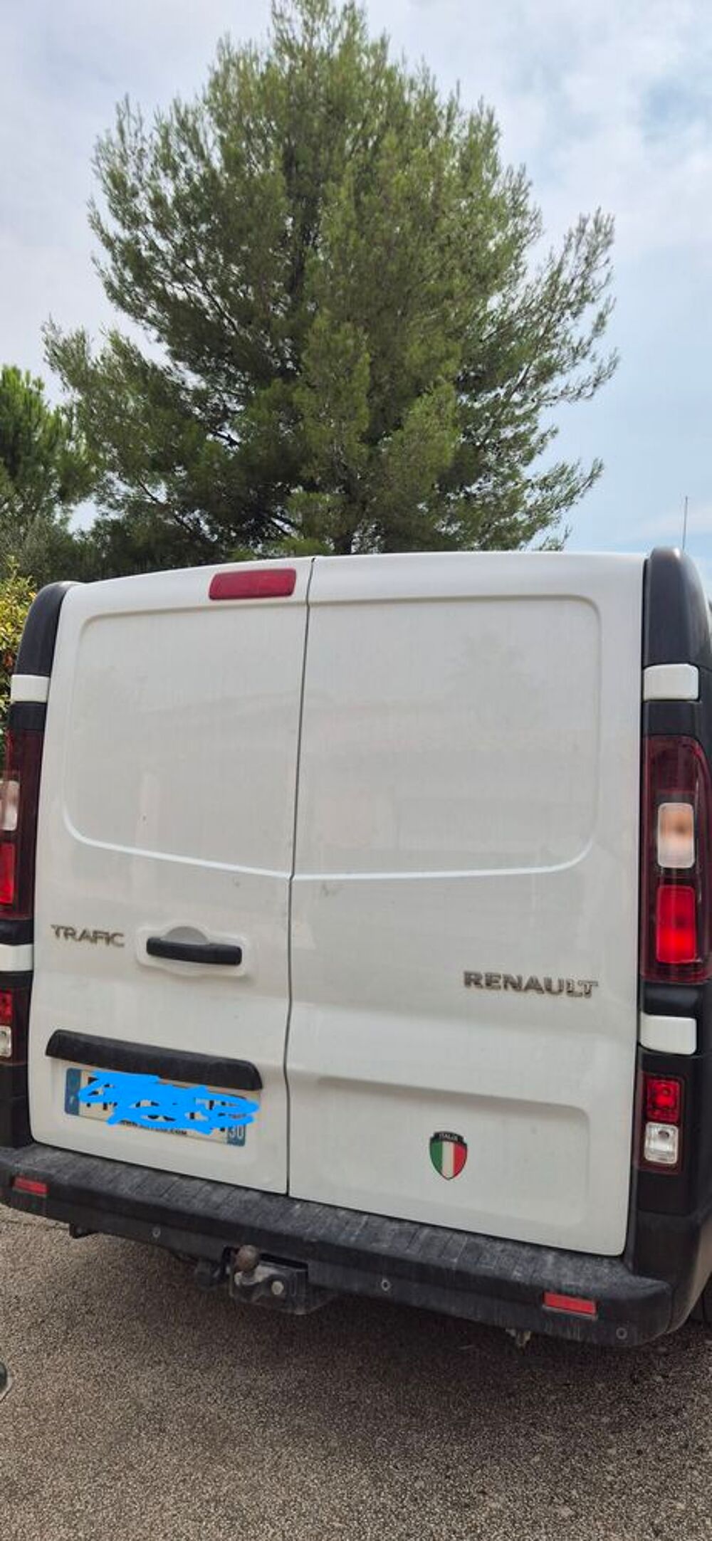 Trafic TRAFIC CA 2.0 DCI 115 L1H1 1200 KG CONFORT 2020 occasion 30670 Aigues-Vives