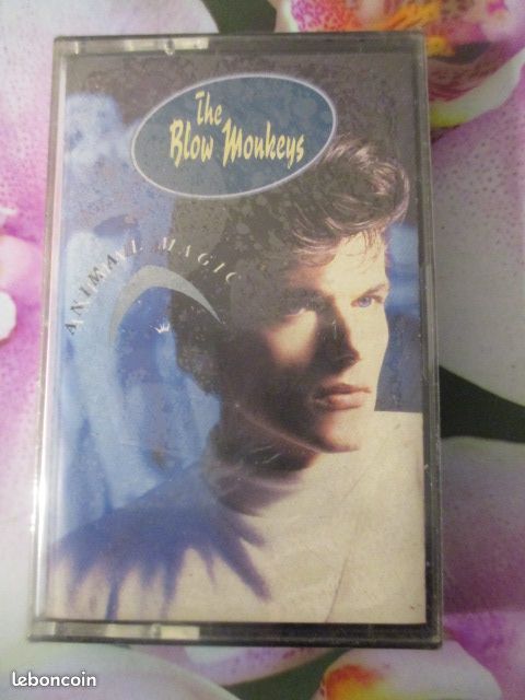 Cassette audio sous blister The Blow Monkeys 5 H�rouville-Saint-Clair (14)