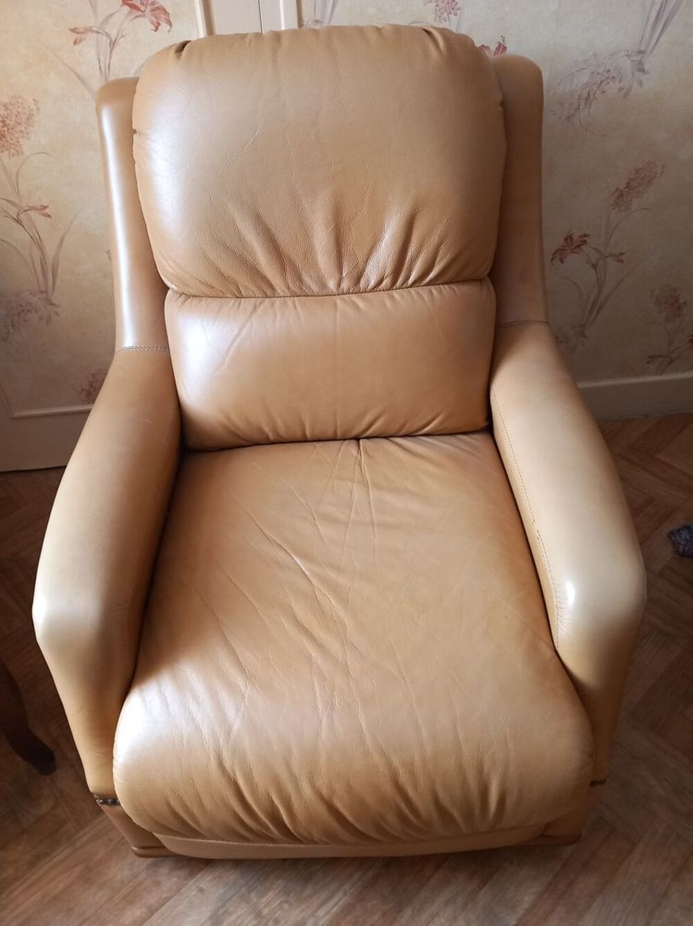 FAUTEUILS CUIR Meubles