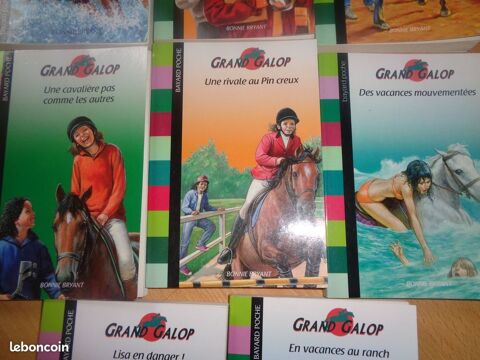 LOT DE LIVRES GRAND GALOP 8 Naizin (56)